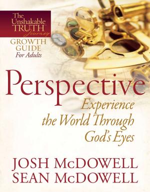Cover of the book Perspective--Experience the World Through God's Eyes by Cheryl Moeller