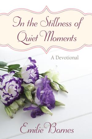 Cover of the book In the Stillness of Quiet Moments by Bob Barnes, Emilie Barnes