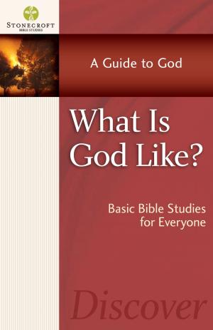 Cover of the book What is God Like? by Rebecca Lutzer