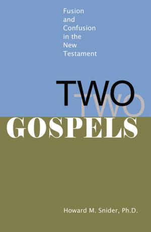 Cover of the book Two Gospels by Alan H. Friedman