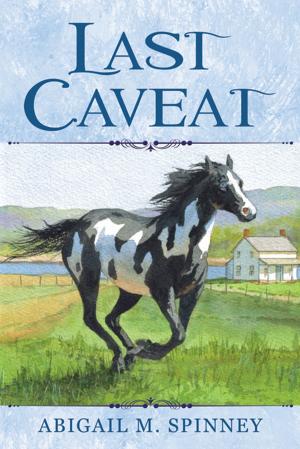 Cover of the book Last Caveat by Doricia Lang