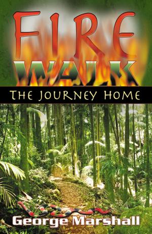 Cover of the book Fire Walk: The Journey Home by Elizabeth Sullivan