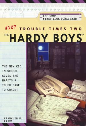 Cover of the book Trouble Times Two by James Ponti