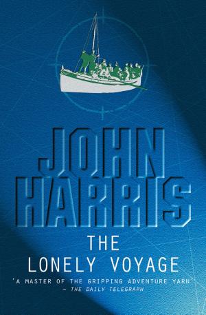 bigCover of the book The Lonely Voyage by 