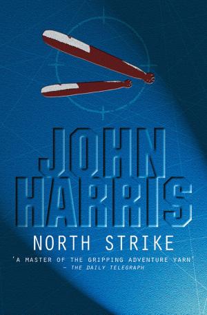 Cover of the book North Strike by J.I.M. Stewart