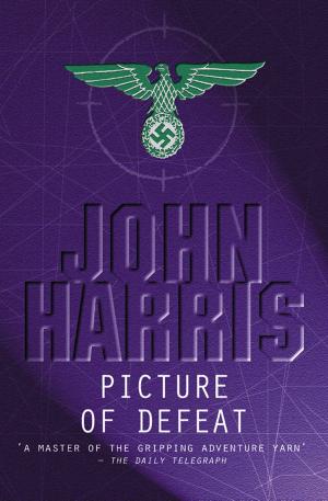 Cover of the book Picture of Defeat by John Harris