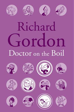 Book cover of Doctor On The Boil