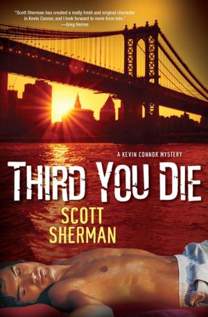 Book cover of Third You Die