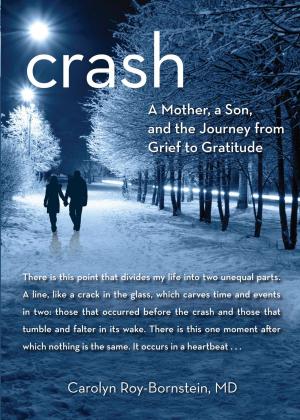 Cover of the book Crash by Patrick Wilkins