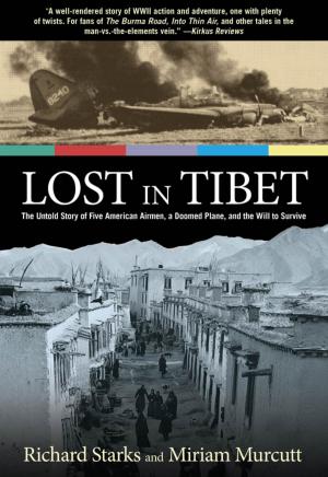 Cover of the book Lost in Tibet by Stanley Stewart