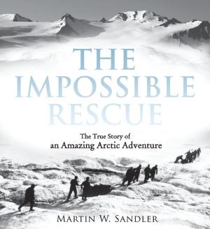 Cover of the book The Impossible Rescue by Nora Raleigh Baskin