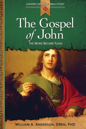 Cover of the book Gospel of John by Daniel P. Horan, OFM