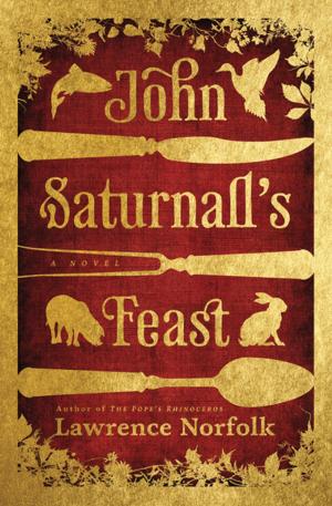 Cover of the book John Saturnall's Feast by Tommy Wieringa