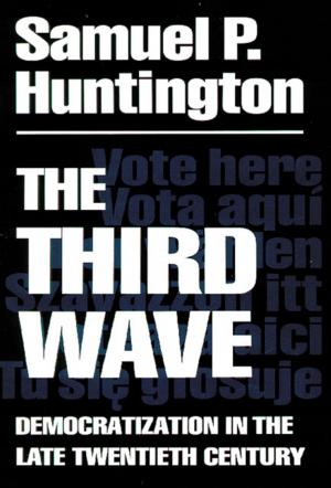 Cover of the book The Third Wave by Devon A. Mihesuah