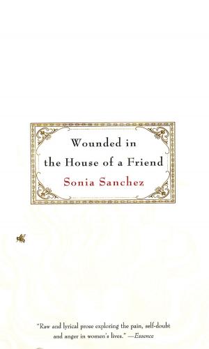 bigCover of the book Wounded in the House of a Friend by 