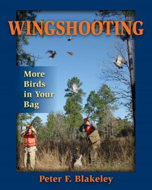 bigCover of the book Wingshooting by 