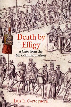 Cover of the book Death by Effigy by April Vahle Hamel, Jennifer S. Furlong