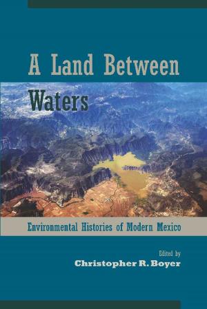 Cover of the book A Land Between Waters by Ken Lamberton