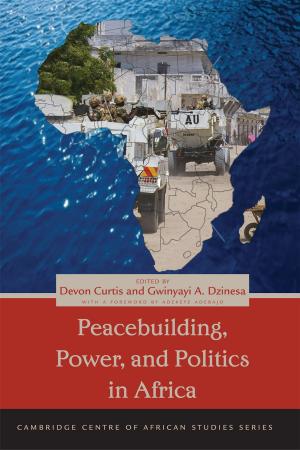 Cover of the book Peacebuilding, Power, and Politics in Africa by 