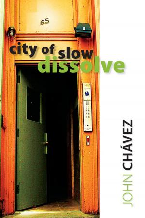 Cover of the book City of Slow Dissolve by Halbert Jones