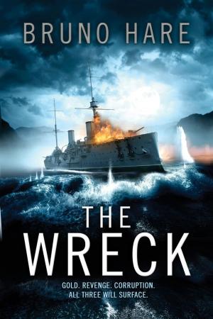 Cover of the book The Wreck by Sarah Kilbride