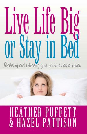 Cover of the book Live Life Big, or Stay in Bed by Rabbi Rami Shapiro