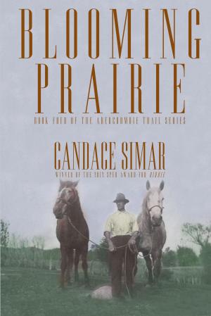 Cover of the book Blooming Prairie by John Saffran
