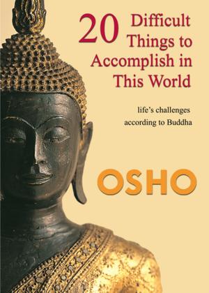 Cover of the book 20 Difficult Things to Accomplish in this World by Osho