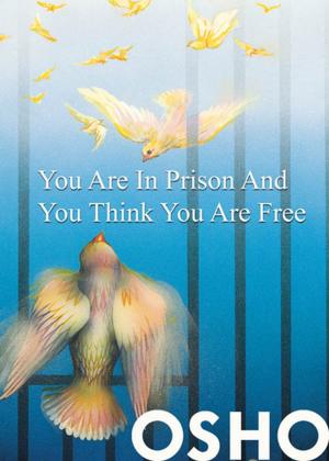 bigCover of the book You Are in Prison and You Think You Are Free by 