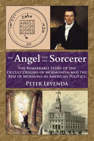 Book cover of The Angel and the Sorcerer