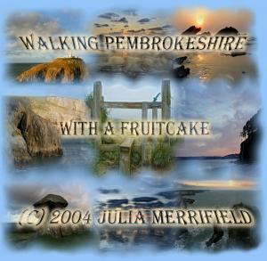 Cover of the book Walking Pembrokeshire with a Fruitcake by Etienne Castay