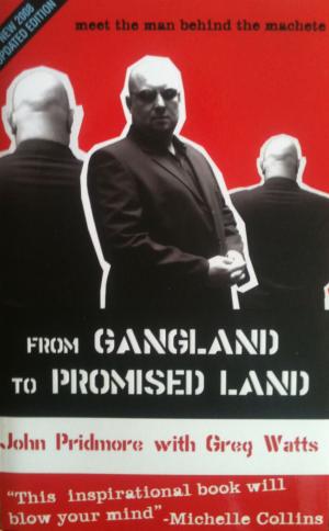Cover of the book From Gangland to Promised Land by Gemma Herrero Virto