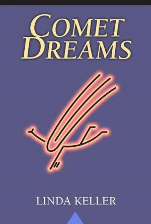 Cover of the book Comet Dreams by Afrows