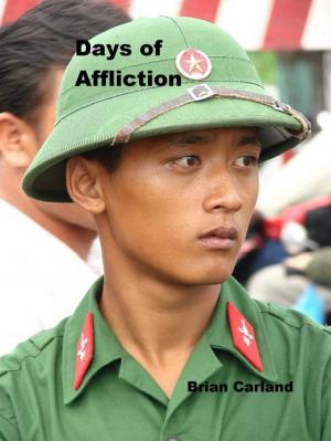 Cover of the book Days of Affliction by Wahyu Dhyatmika et al.