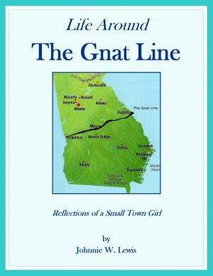 Cover of the book Life Around The Gnat Line by Cindy Vincent