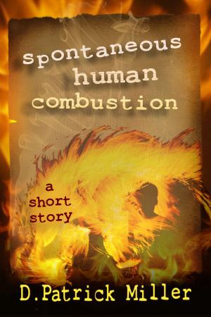 Cover of the book Spontaneous Human Combustion by Michael Stillwater
