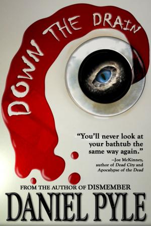 Cover of the book Down the Drain by Jason G. Anderson
