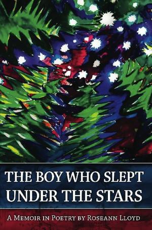 Cover of the book The Boy Who Slept Under the Stars by Jaren Voigt