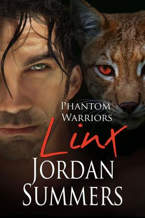 Cover of the book Phantom Warriors 5: Linx by Brian W. Peterson