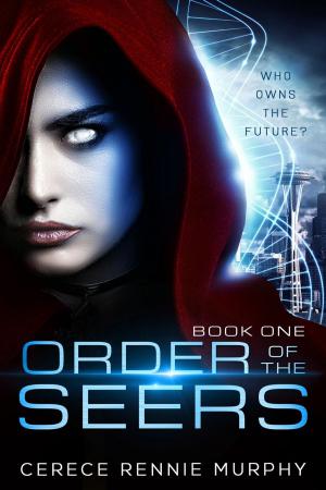 Cover of the book Order of the Seers by K. Dzr