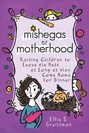Cover of the book Mishegas of Motherhood by John Austin