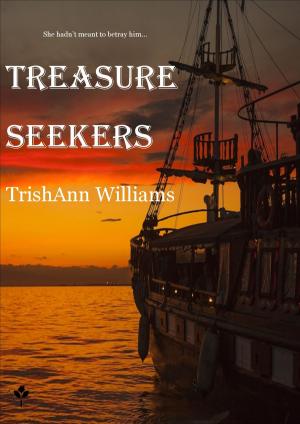 Cover of the book Treasure Seekers by Adam Sternbergh