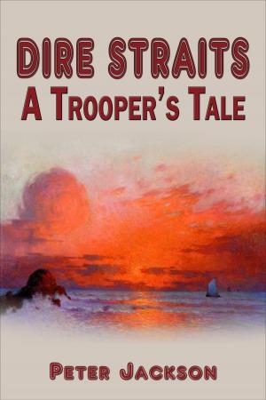 Book cover of Dire Straits: A Trooper's Tale