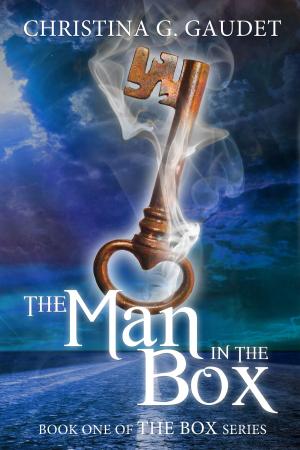 Book cover of The Man in the Box (The Box book 1)
