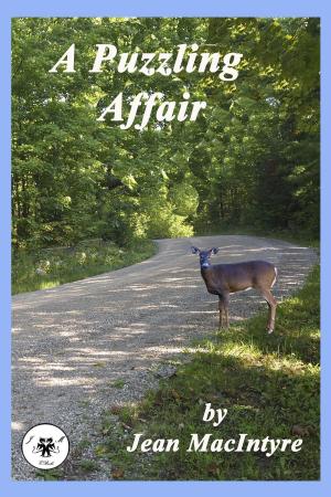 Cover of A Puzzling Affair