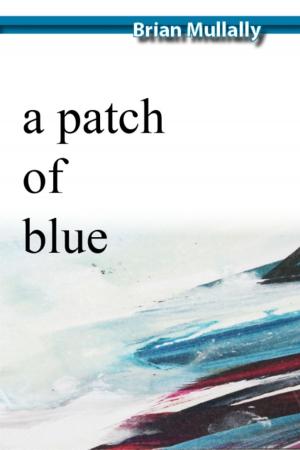 Cover of the book A Patch of Blue by Shane Joseph