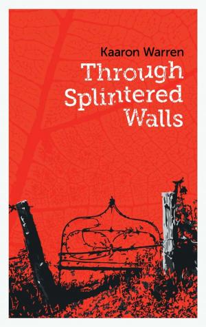 Cover of the book Through Splintered Walls by Julia Rios, Alisa Krasnostein