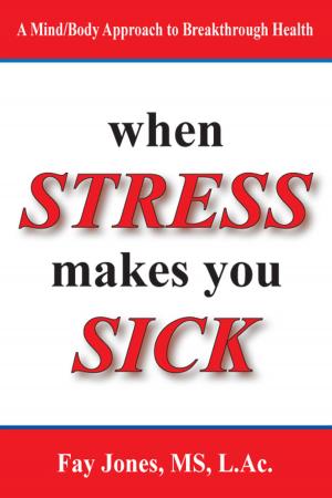 Cover of the book When Stress Makes You Sick by Saki Santorelli