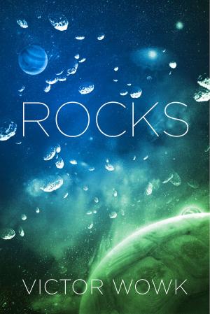 Cover of the book Rocks by Roger Ruffles