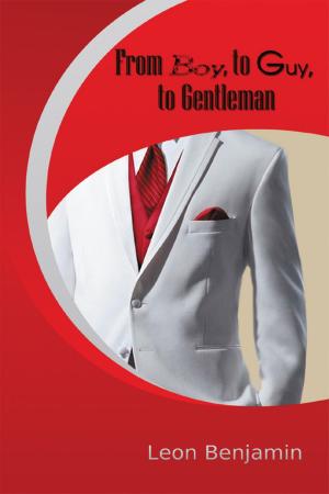 Cover of the book From Boy, to Guy, to Gentleman by Zari Ballard